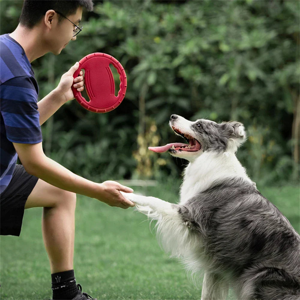 Pet Flying Disc Frisbe