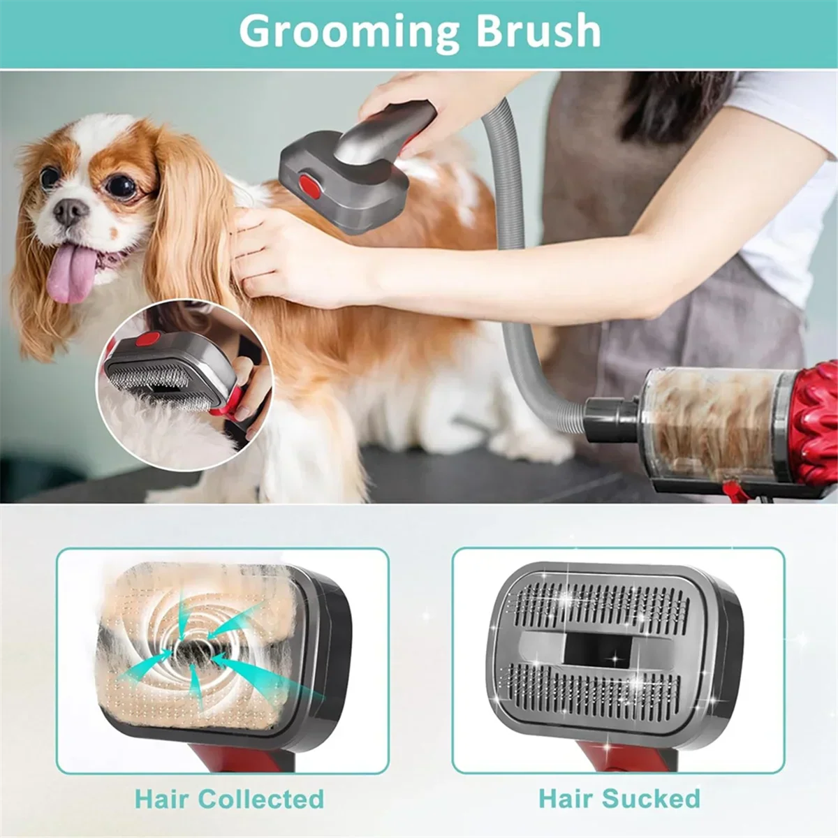 Dog Grooming Kit