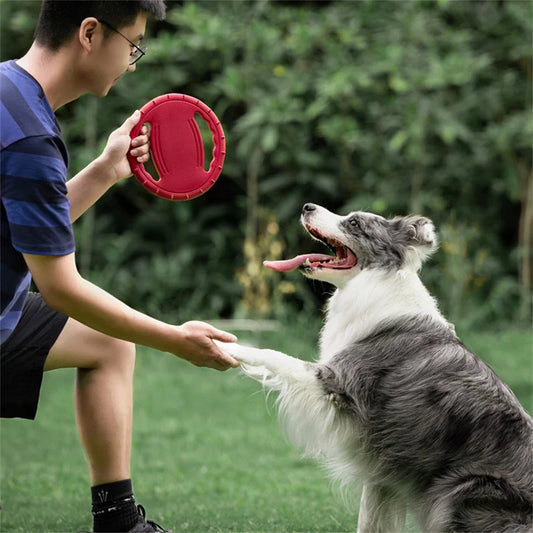 Pet Flying Disc Frisbe