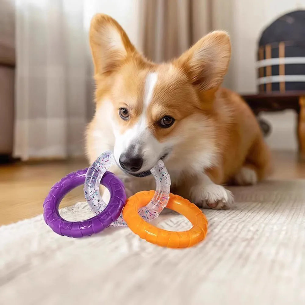 Dog Chew Tug