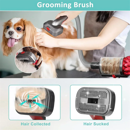 Dog Grooming Kit