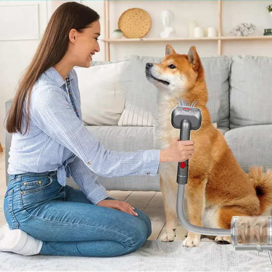 Dog Grooming Kit
