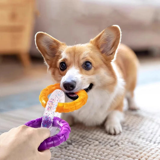 Dog Chew Tug