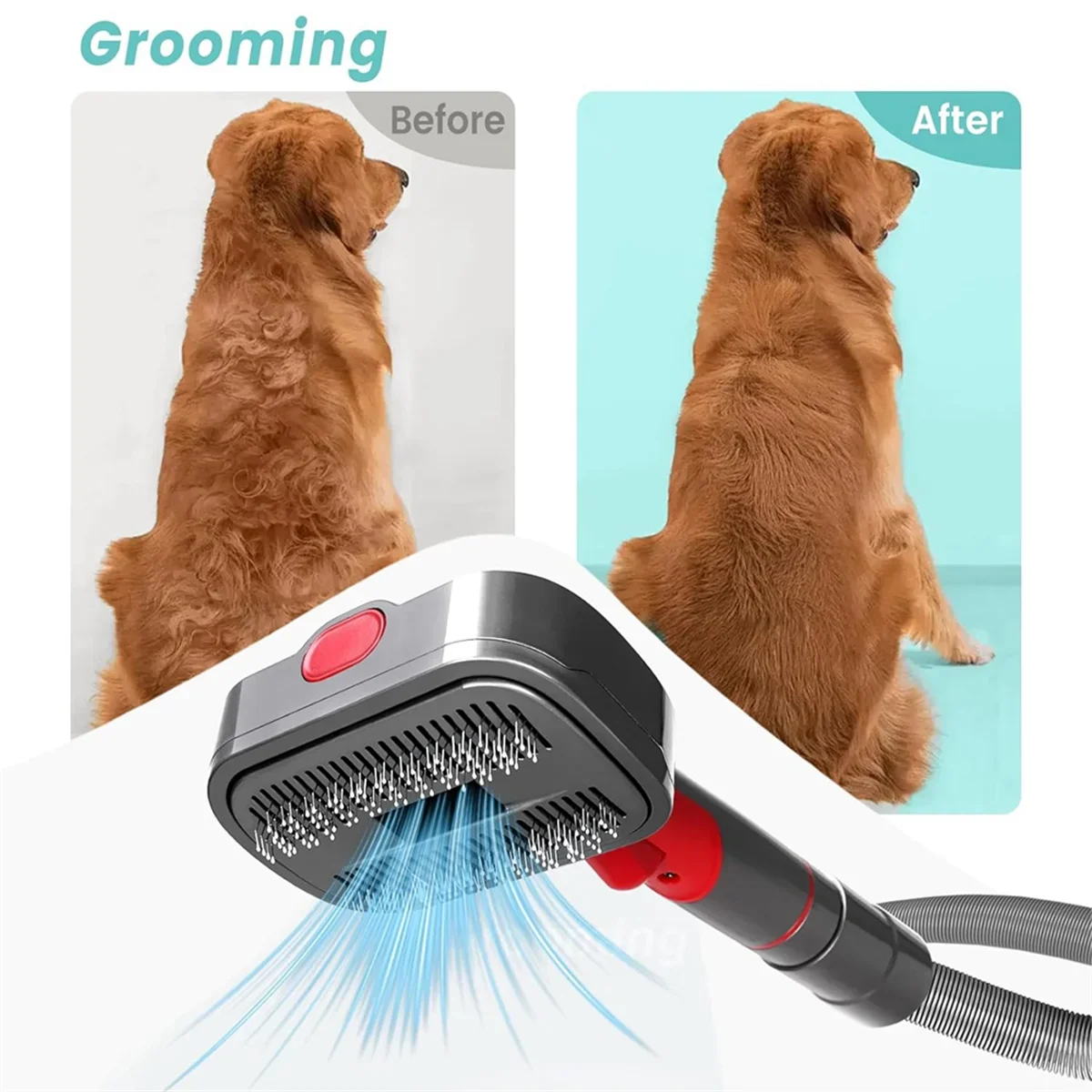 Dog Grooming Kit